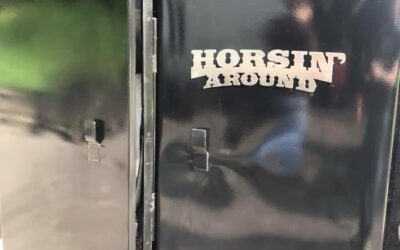 Custom Fabricated Horse Trailer Door Replacement